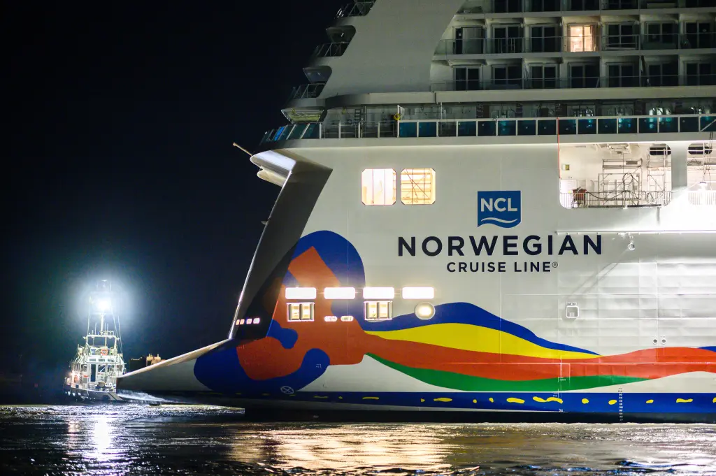 情侶開心搭免費郵輪玩七天 船上不幸得流感 醫藥費竟叫價35萬