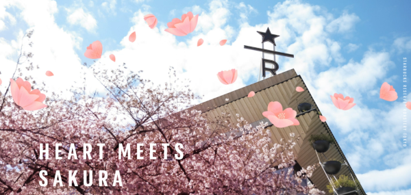 日本Starbucks櫻花季限定逾30款新品2025 白桃櫻花蕨餅星冰樂/夢幻花瓣隨行杯 