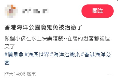 魔鬼魚現身筲箕灣海傍！意外被釣獲網民齊喊可憐「求放生」籲小心毒刺！下場曝光