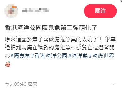 魔鬼魚現身筲箕灣海傍！意外被釣獲網民齊喊可憐「求放生」籲小心毒刺！下場曝光