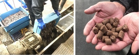 情人節｜日本公司禁送情人節朱古力！示威者組成「去死去死團」！原因獲網民力撐 