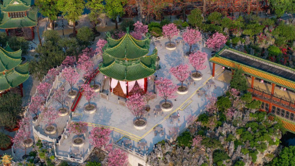 寶墨園及南粵苑（圖片來源：寶墨園南粵苑微信公眾號）