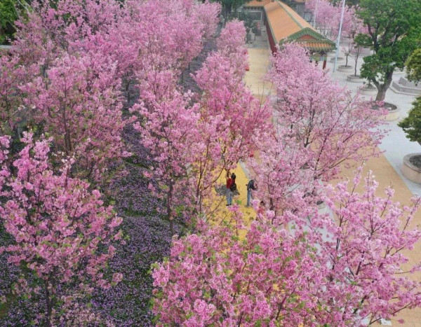 寶墨園及南粵苑（圖片來源：寶墨園南粵苑微信公眾號）