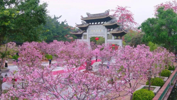 寶墨園及南粵苑（圖片來源：寶墨園南粵苑微信公眾號）