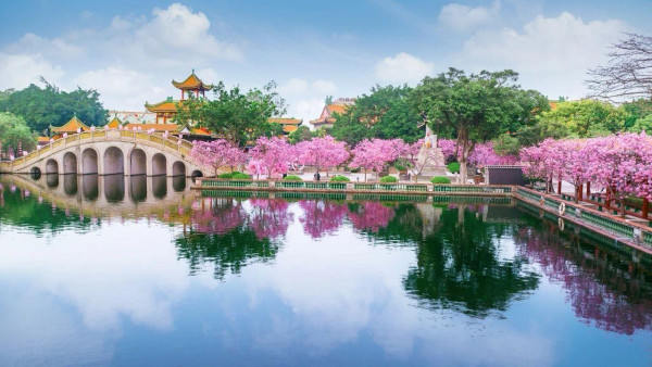 寶墨園及南粵苑（圖片來源：寶墨園南粵苑微信公眾號）