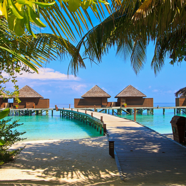 去旅行變2025一大難題?面對地震預言/流感/KK園 網民熱議短途旅行地點