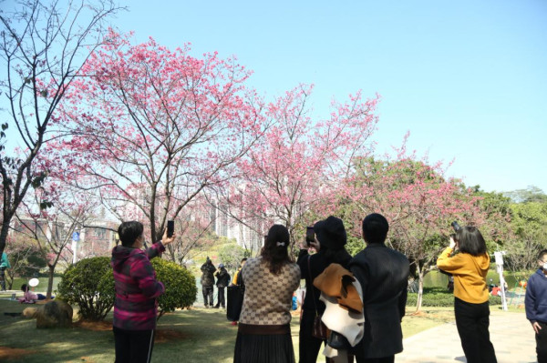 創業公園（圖片來源：文旅黃埔微信公眾號）