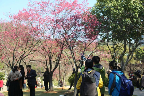 創業公園（圖片來源：文旅黃埔微信公眾號）