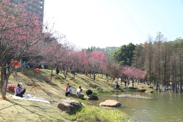 創業公園（圖片來源：文旅黃埔微信公眾號）