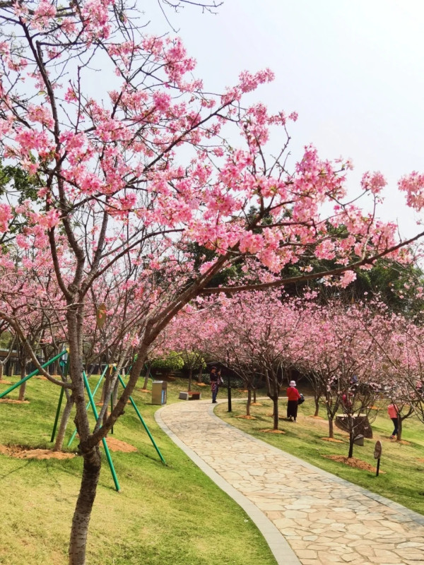 創業公園（圖片來源：小紅書@梁辰思宇）