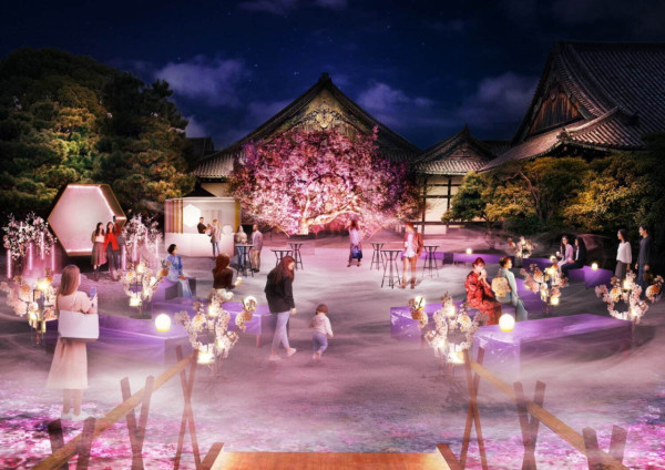 日本櫻花2025｜東京/鹿兒島/長崎宣佈櫻花開花！ 預料開花後7至10天盛開！ 