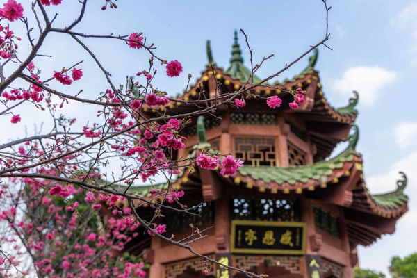 華南農業大學（圖片來源：華南農業大學校友會微信公眾號）