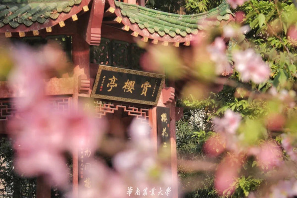 華南農業大學（圖片來源：微博@華南農業大學）