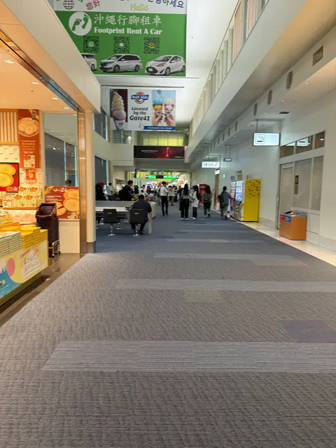 網民呻日本一機場塞爆 2大原因 提早2.5小時仍險錯過航班 