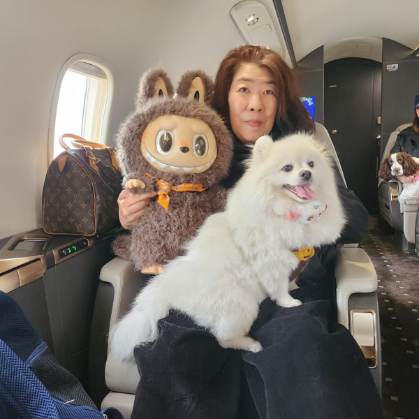 寵物旅遊「愛寵齊飛」（圖片來源︰FB@Pet Holidays 寵物假期）