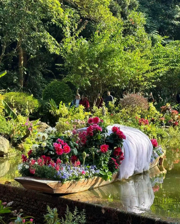 深圳仙湖植物園（圖片來源：深圳市仙湖植物園微信公眾號）