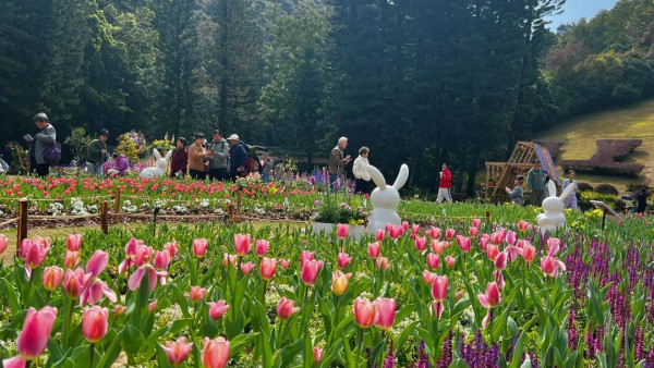 深圳仙湖植物園（圖片來源：深圳市仙湖植物園微信公眾號）