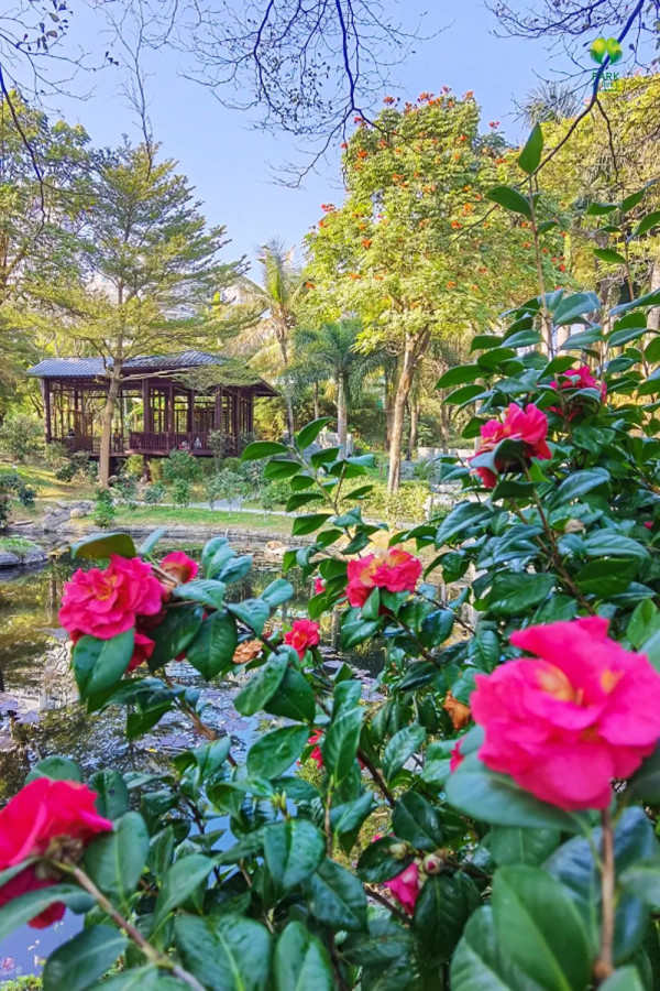 國際園林花卉博覽園（圖片來源：幸福福田微信公眾號）
