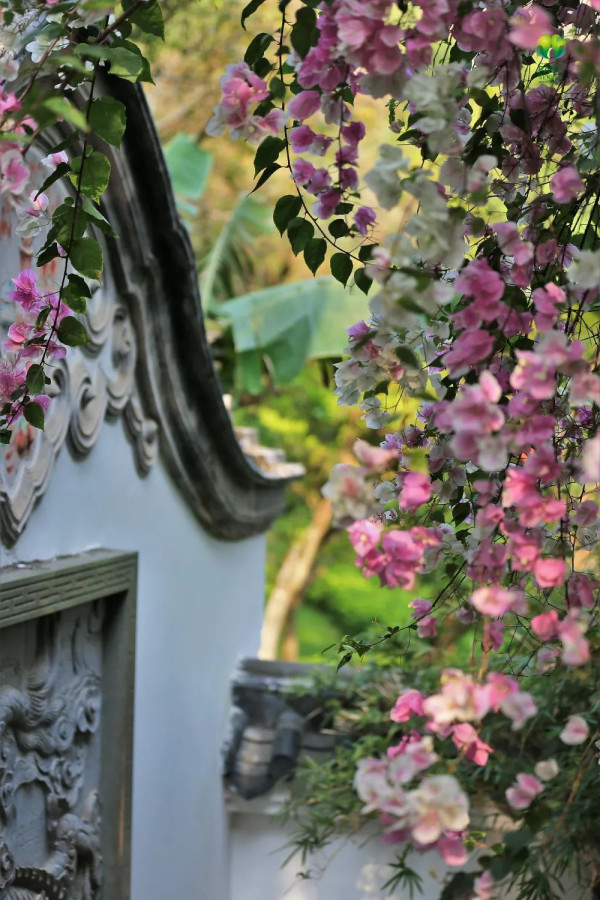 國際園林花卉博覽園（圖片來源：幸福福田微信公眾號）