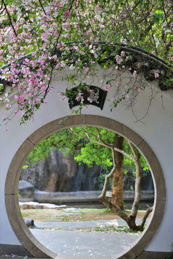 國際園林花卉博覽園（圖片來源：幸福福田微信公眾號）