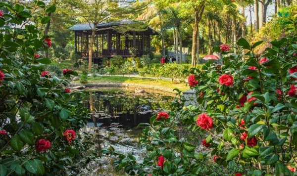 國際園林花卉博覽園（圖片來源：幸福福田微信公眾號）