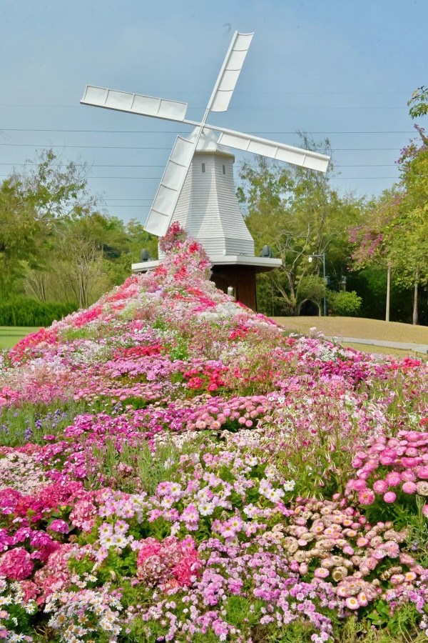 荷蘭花卉小鎮（圖片來源：小紅書＠小梁不吃香菜）