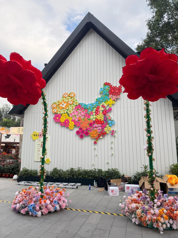 荷蘭花卉小鎮（圖片來源：小紅書＠Wilfred小猴）