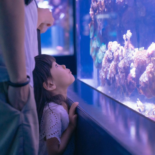 沖繩商場推薦｜沖繩必去8大購物中心比較附交通！海景商場/近機場/唯一Outlet/AEON MALL 