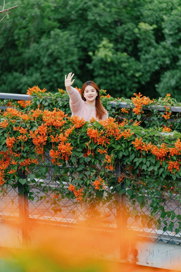 香蜜公園（圖片來源：幸福福田微信公眾號）