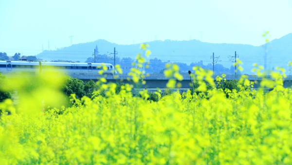光明歡樂田園（圖片來源：小紅書＠光明歡樂田園）