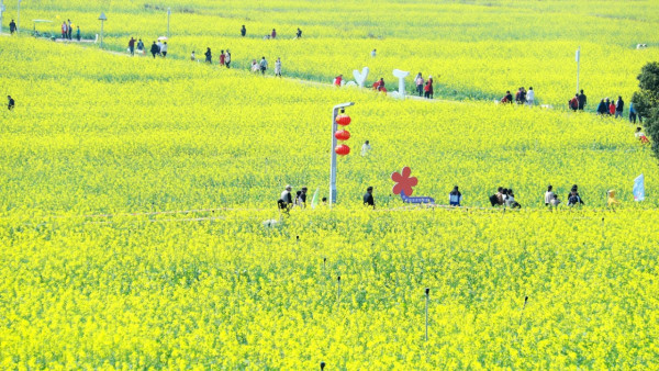光明歡樂田園（圖片來源：小紅書＠光明歡樂田園）