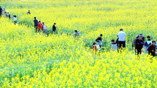 光明歡樂田園（圖片來源：小紅書＠光明歡樂田園）