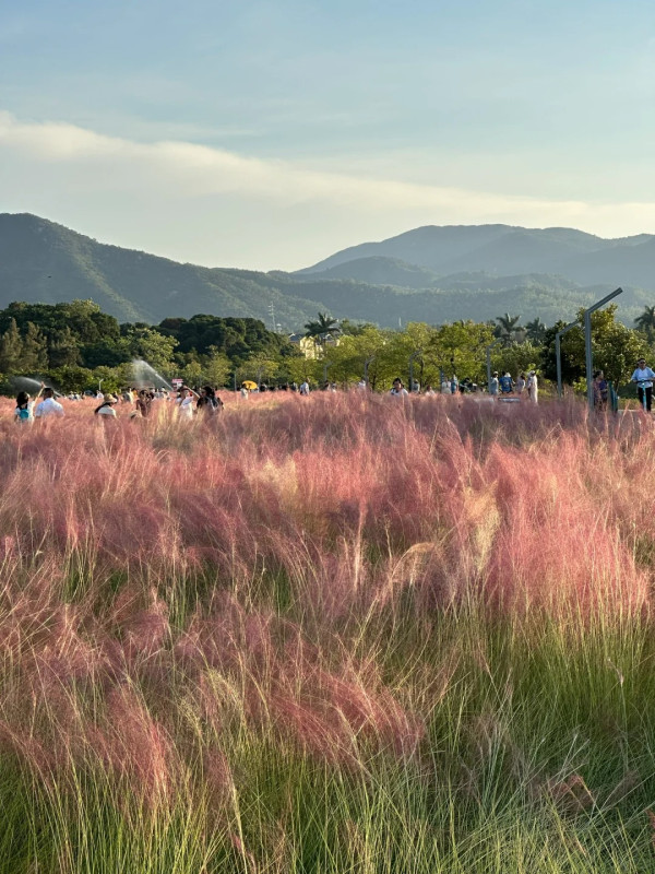 大鵬禾塘濕地公園（圖片來源：小紅書＠小野布魯西）