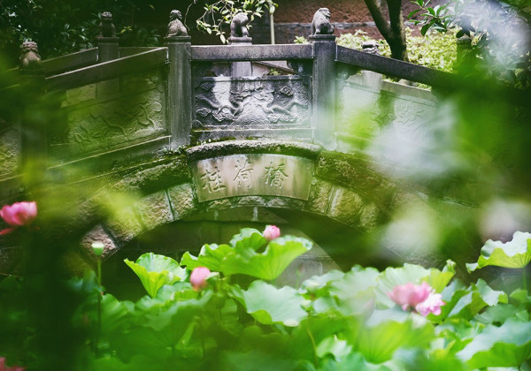 成都景點|10大成都自由行景點合集!大熊貓園/博物館/雙子塔/古城/夜市