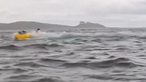 有片！男子划艇遭座頭鯨一啖吞下吐出 超驚險罕有畫面曝光！ 