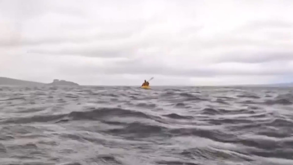 有片！男子划艇遭座頭鯨一啖吞下吐出 超驚險罕有畫面曝光！ 