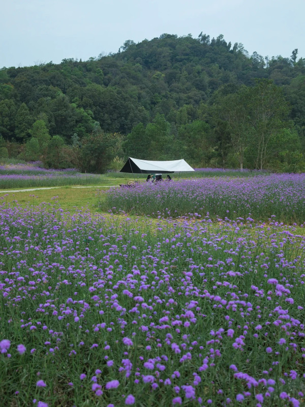 五指耙體育主題公園（圖片來源：小紅書@日常日常）