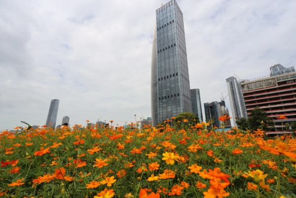 人才公園（圖片來源：小紅書@Duxia）