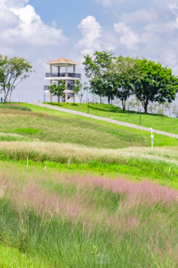 陌上花公園（圖片來源：濱海寶安微信公眾號）
