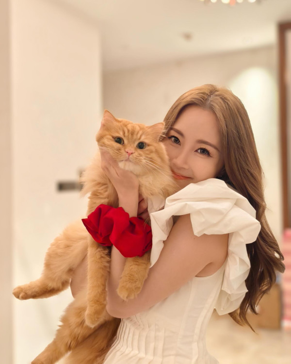 傅穎半裸照被控袒胸露臀遭限制 北上發展複式豪宅極富貴 