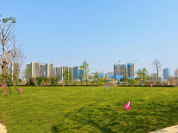 東莞中心公園（圖片來源：東莞中心公園微信公眾號）