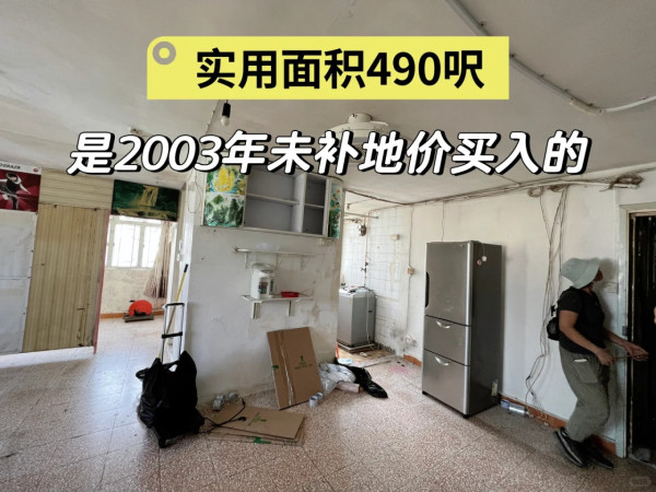 大埔490呎海景公屋全拆裝修 瞞媽媽改造20年單位 孝順仔：完工極感觸