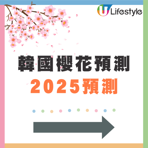 韓國機票限時優惠！HK Express單程$100起 首爾/濟州/釜山賞櫻