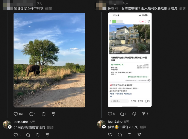 有網友發現網上有極為相似租盤廣告，而屋主更在介紹中提到「可養獅子老虎大笨象」。圖片來源：Threads