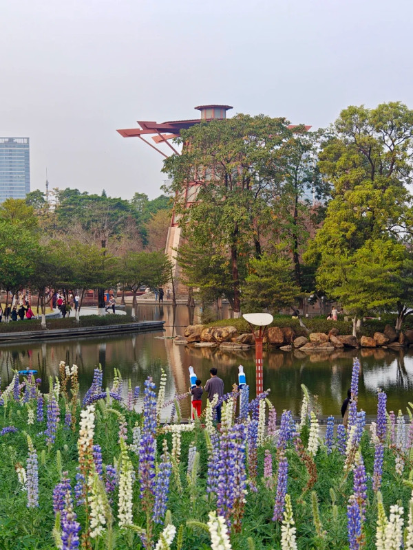 千燈湖公園（圖片來源：小紅書@fanfanh）