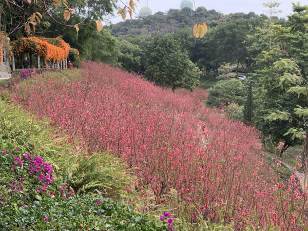佛山西樵山（圖片來源：西樵山微信公眾號）