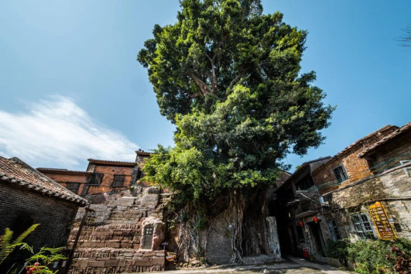 南風古灶（圖片來源：南風古灶微信公眾號）