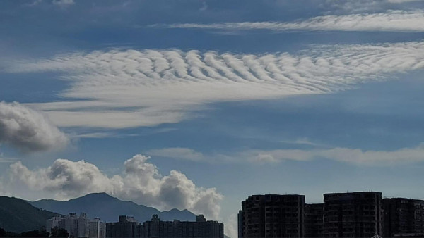 本港天空現「指紋」呈波浪狀雲海 天文台解構波狀雲現象