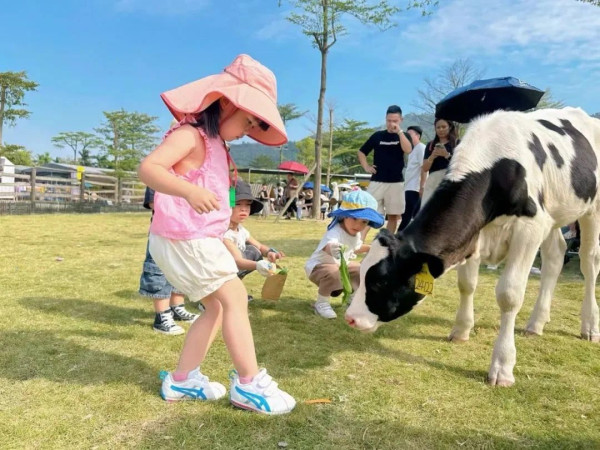 旺林藝術花園（圖片來源：旺林藝術花園微信公眾號）