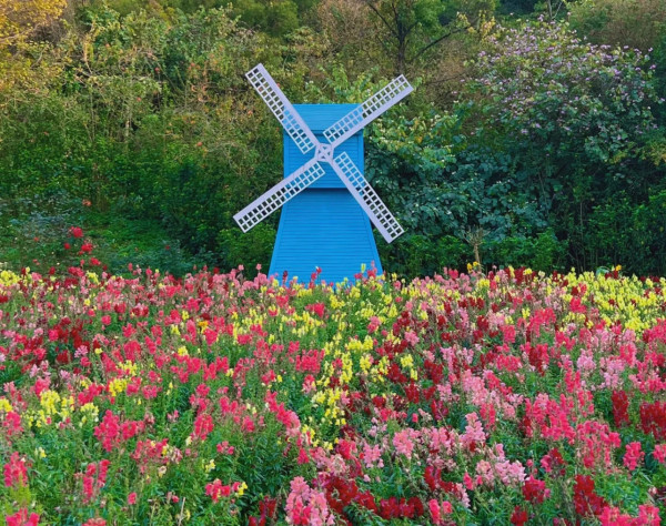 三山森林公園（圖片來源：小紅書@一隻宅.）